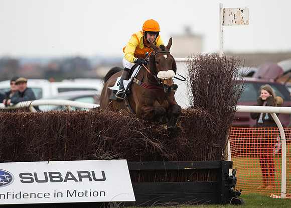 Race 6 - Confined Hunts-84