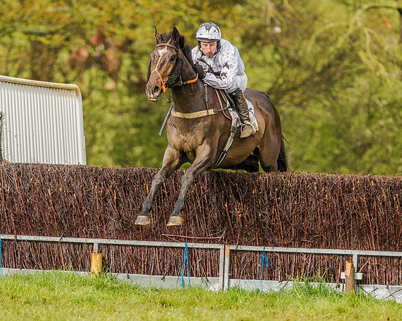 Race 5 - Open Maiden (121 of 147).jpg