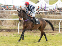Race 5 - Restricted Race