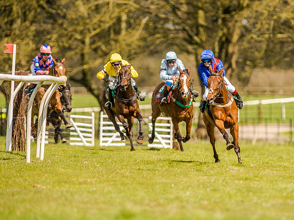 Pony Races (95 of 127).jpg