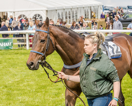 Race 3 - Ladies Open  (1 of 107).jpg