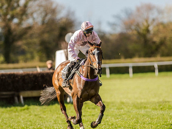 Race 6 - The Open Maiden (52 of 122).jpg