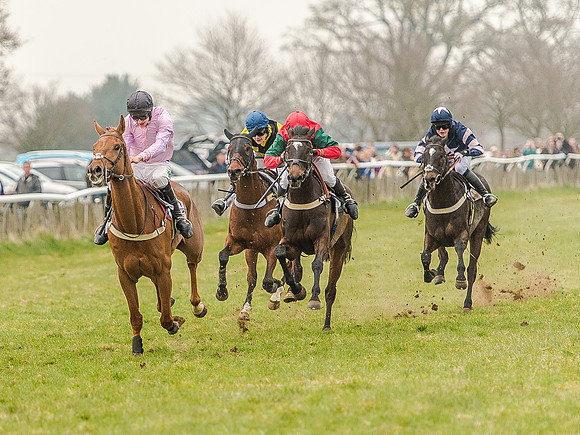 Race 5 - Open Maiden Division 1  (62 of 90).jpg