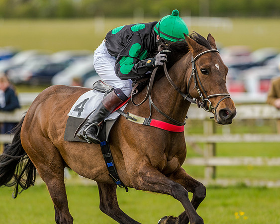 Pony Race 3 (49 of 78).jpg