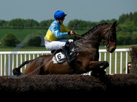 picture-8