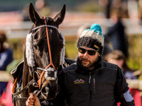 Race 4 - Ladies Open [Nov-Vet] (5 of 82).jpg
