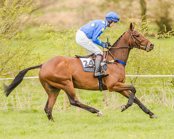 Race 2 - Open Maiden  (52 of 170).jpg