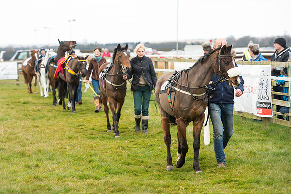 Pony Race 1 - 138cm -31