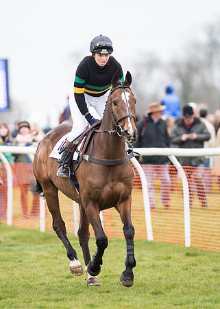 Race 7 - PPORA Novice Riders-7