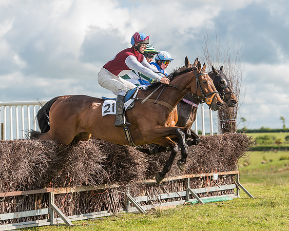 Race 6 - Open Maiden Race (36 of 71).jpg