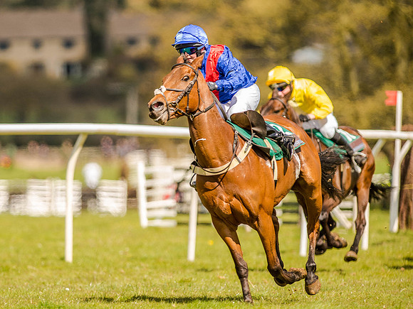 Pony Races (112 of 127).jpg