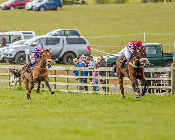 Pony Race 3 (29 of 78).jpg