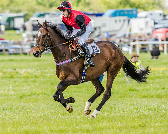 Race 4 - PPORA Novice Riders (70 of 196).jpg