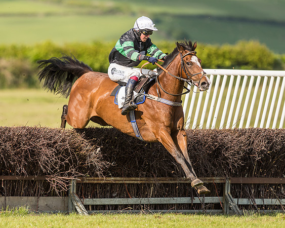 Race 6 - Open Maiden Race (64 of 71).jpg