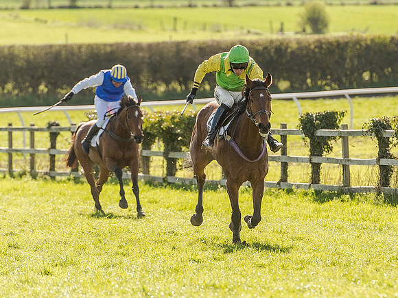 Race 6 - The Open Maiden (71 of 122).jpg