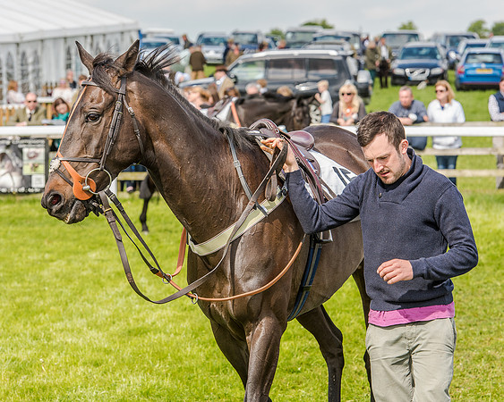 Race 4 - PPORA Novice Riders (35 of 196).jpg