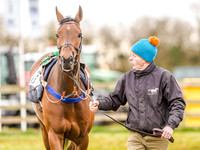 Race 6 - Open Maiden (11 of 96).jpg