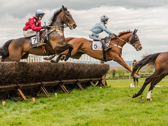 Race 3 - Young Horse maiden 2m5f (67 of 124).jpg