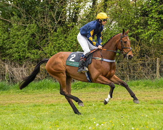 Race 7 - Open Maiden  (26 of 106)