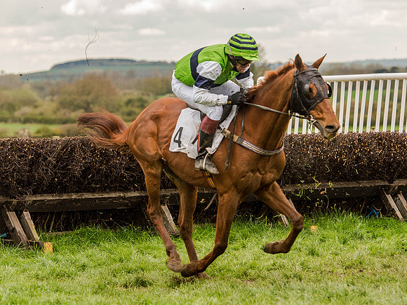 Race 2 - PPORA Club Members Conditions 2m5f (87 of 137).jpg