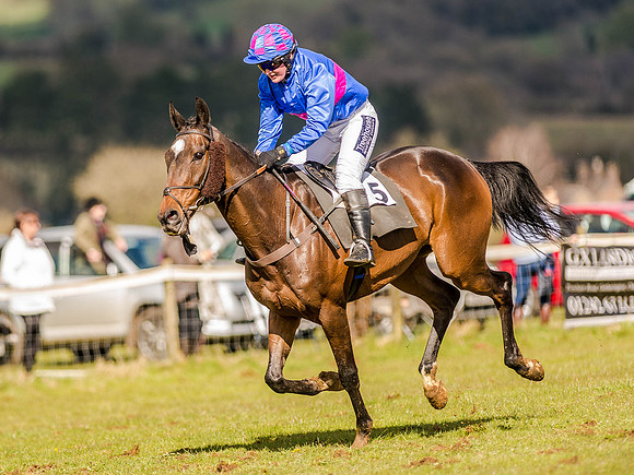 Race 4 - Ladies Open [Nov-Vet] (64 of 82).jpg