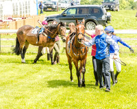 Pony Race 1  (15 of 99).jpg