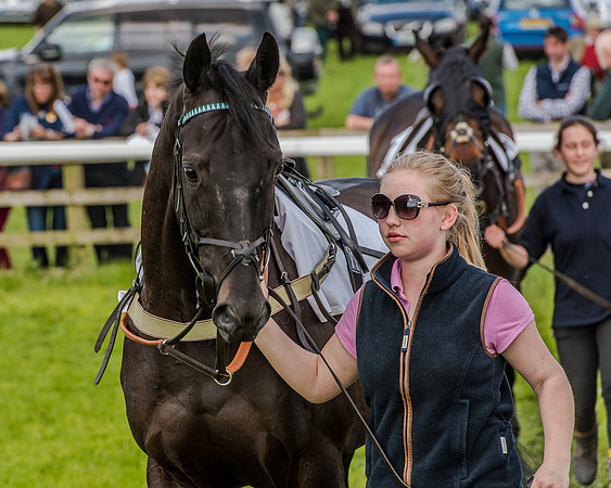 Race 4 - PPORA Novice Riders (46 of 196).jpg