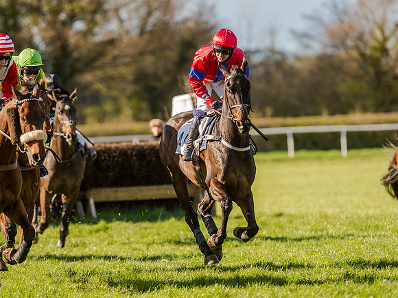 Race 6 - The Open Maiden (46 of 122).jpg