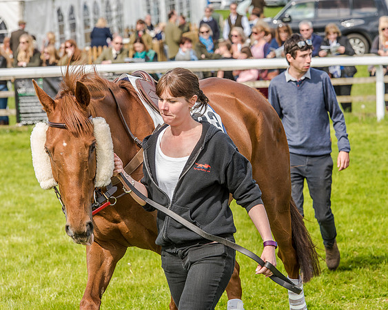 Race 4 - PPORA Novice Riders (32 of 196).jpg