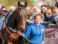 Race 4 - PPORA Club Members for Novice Riders (17 of 131).jpg