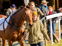 Race 6 - The Open Maiden (4 of 122).jpg