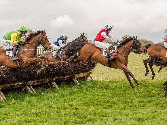 Race 1 - Confined Hunts (75 of 118).jpg