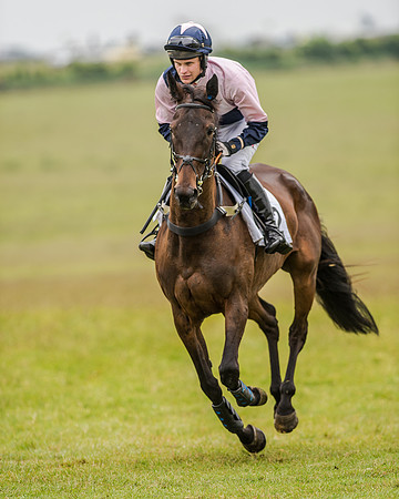 Race 2 - Open Maiden Race (8 of 80).jpg