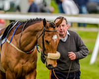 Pony Race 3 (1 of 78).jpg