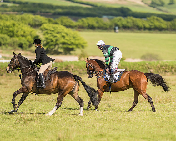 Race 6 - Open Maiden Race (10 of 71).jpg