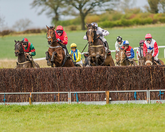 Race 5 - Open Maiden (91 of 147).jpg