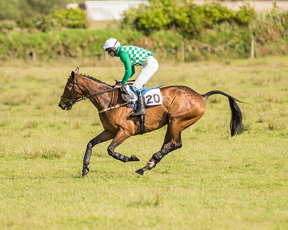 Race 6 - Open Maiden Race (23 of 71).jpg