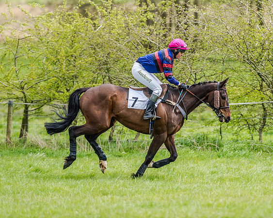 Race 3 - Ladies Open (20 of 86).jpg