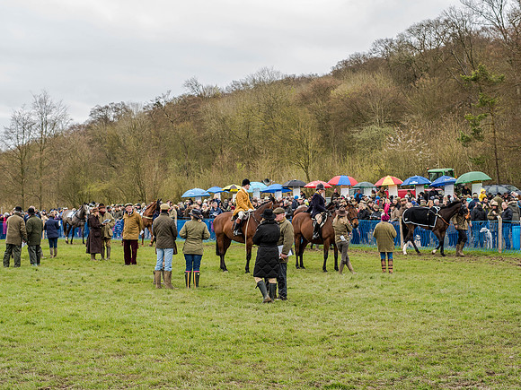 Race 3 - Young Horse maiden 2m5f (26 of 124).jpg