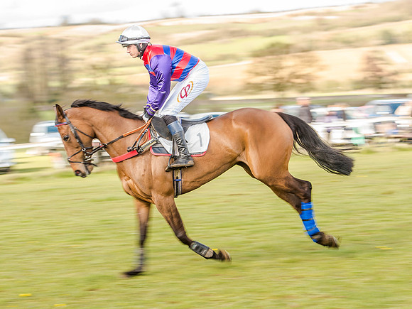 Race 6 - The Restricted Race [Nov-Vet] (27 of 84).jpg
