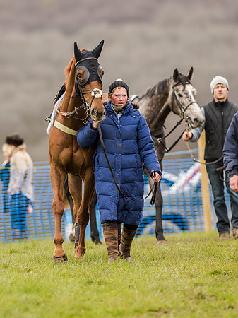 Race 3 - Young Horse maiden 2m5f (23 of 124).jpg