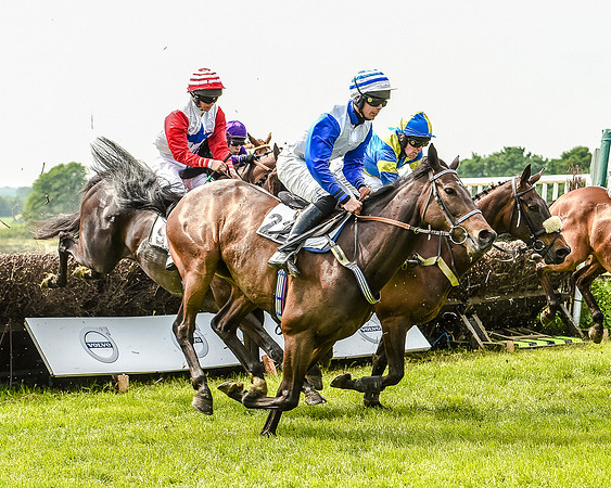 Race 2 - PPORA Members Novice Riders  (67 of 112).jpg