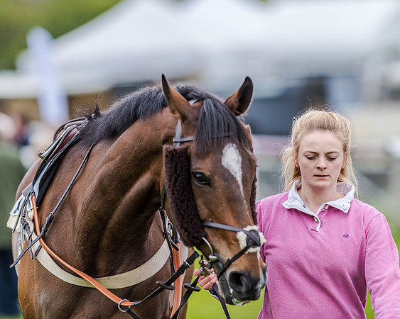 Race 4 - PPORA Novice Riders (3 of 151).jpg