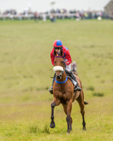 Race 2 - Open Maiden Race (16 of 80).jpg