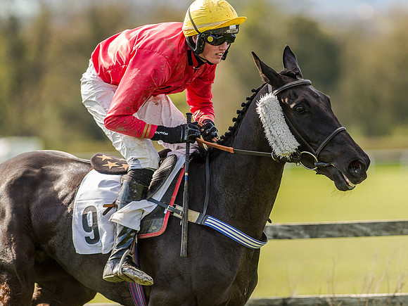 Race 5 - The Southern Grand national (59 of 96).jpg