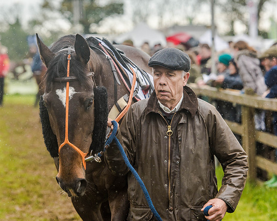 Race 5 - Open Maiden (22 of 147).jpg