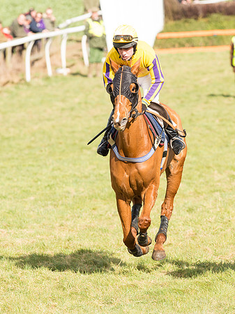 Race 4 - Novice and Veteran Riders race (23 of 46).jpg