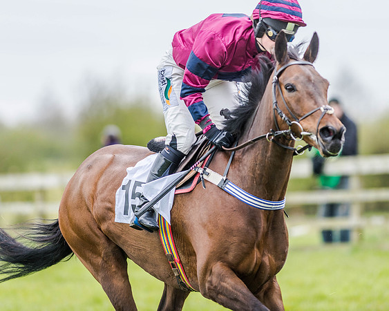 Race 3 - Ladies Open (30 of 86).jpg