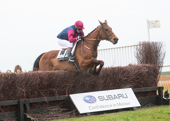 Race 7 - PPORA Novice Riders-55