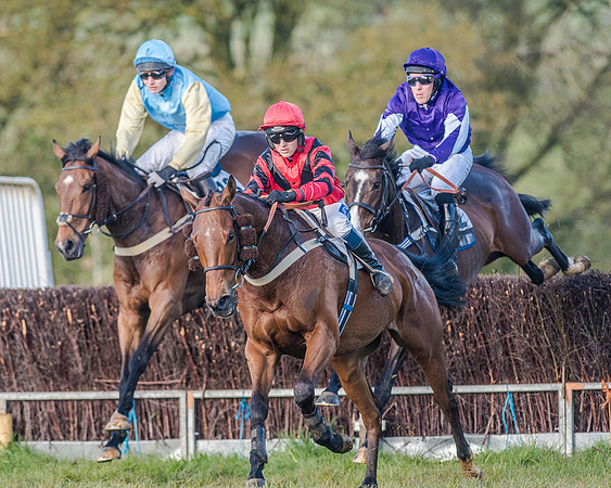 Race 7 - PPORA Club Members for Novice Riders (32 of 81).jpg